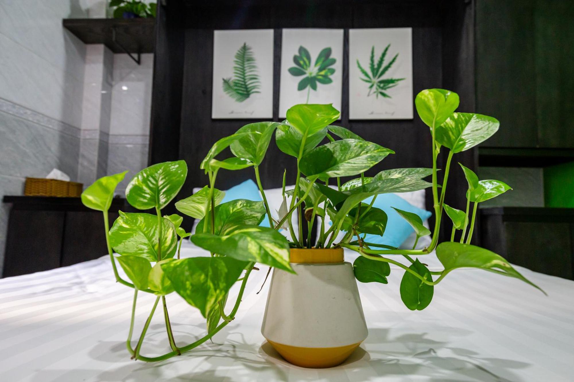 Cola's Homestay Bandar Ho Chi Minh Luaran gambar